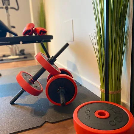 Lejlighed Tishok Wellness Apartment With Private Gym *